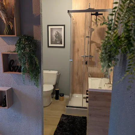 Duplex Le Glamour Proche Hyper Centre Appartement