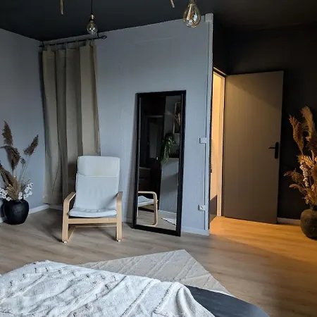 Duplex Le Glamour Proche Hyper Centre Appartement Saint-Dizier