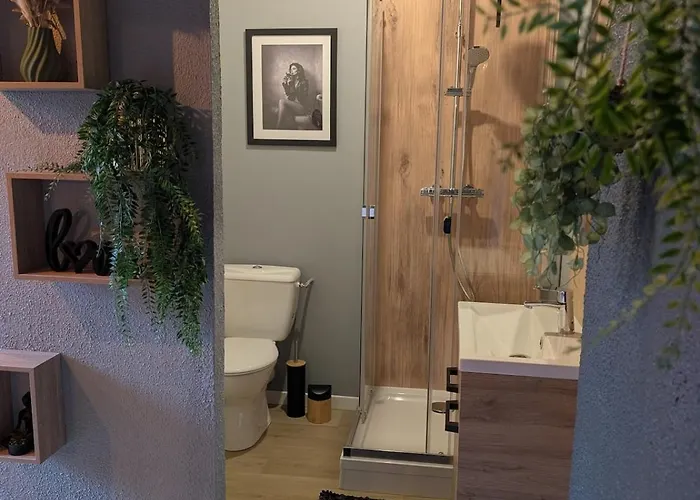 Duplex Le Glamour Proche Hyper Centre Appartement