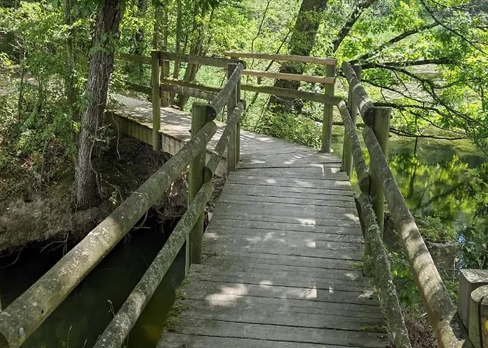 Duplex Le Glamour Proche Hyper Centre